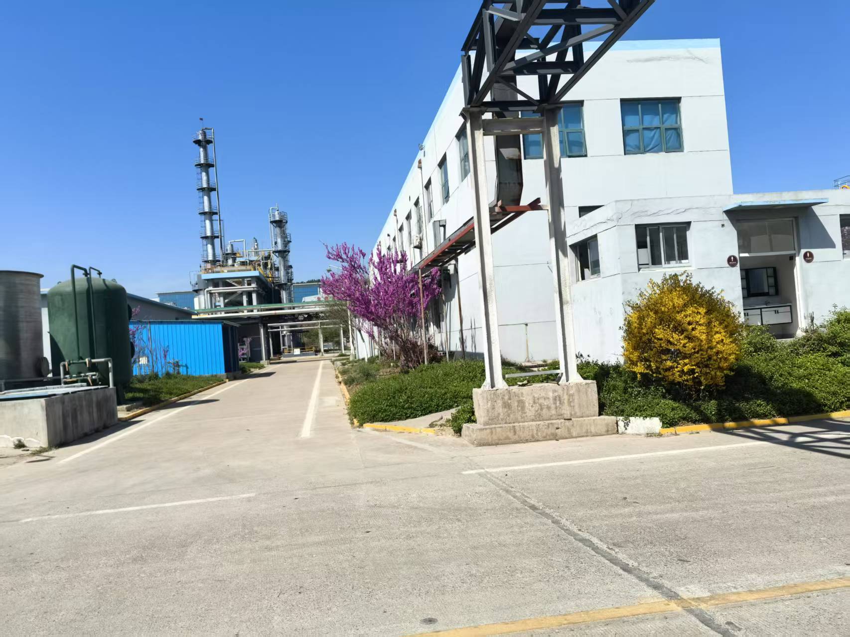 公司廠區(qū)春天美景